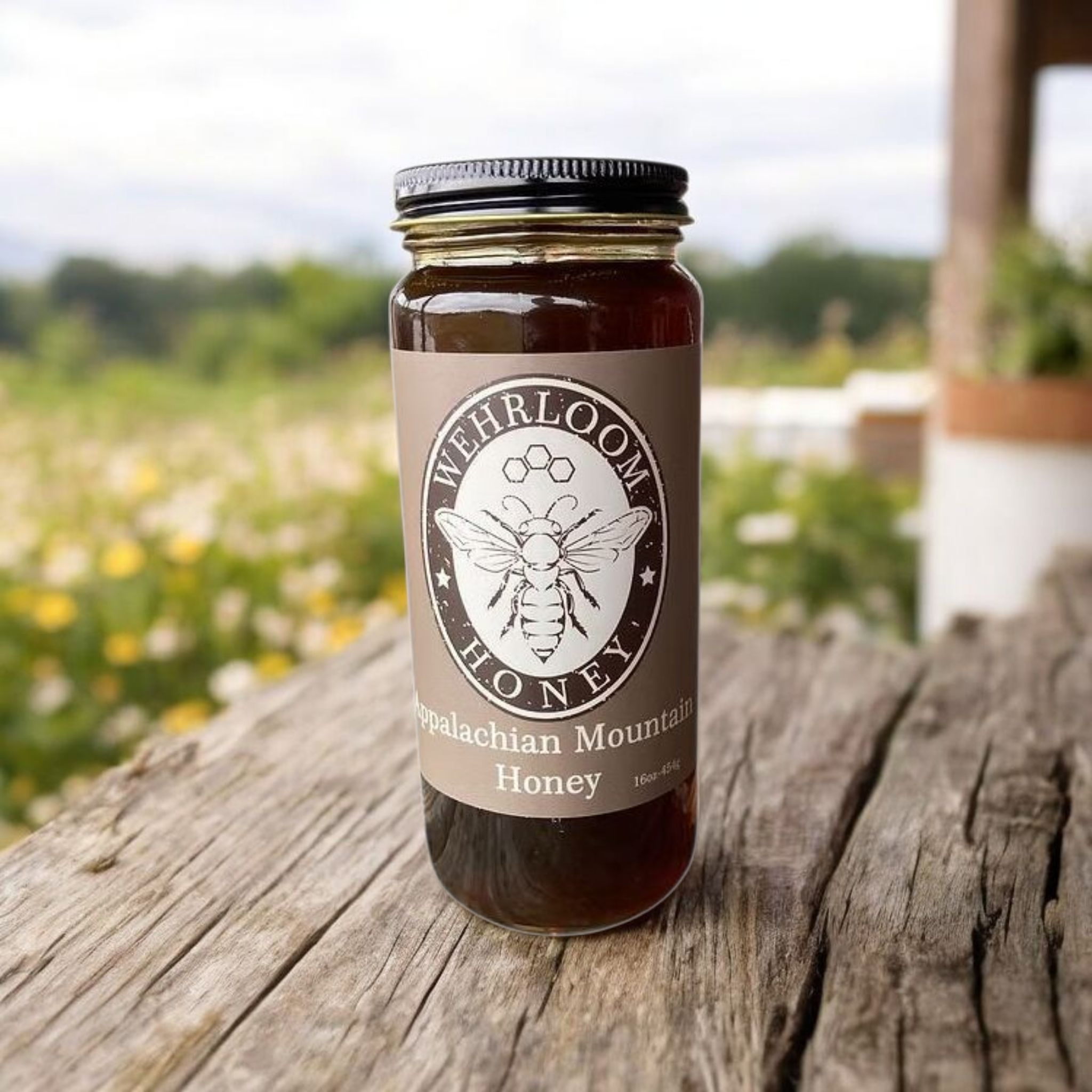 Wehrloom Appalachian Mountain Wildflower Honey - 100% Raw & Pure (16 oz / 454 gram)