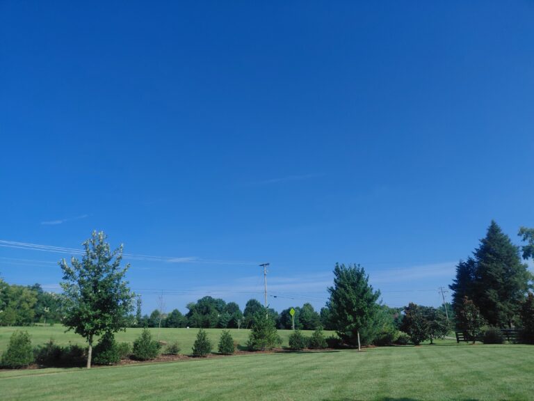 20260809_090518